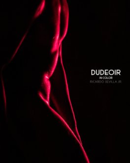 Dudeoir: In Color book cover