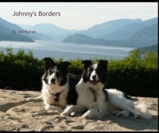 Johnny's Borders book cover