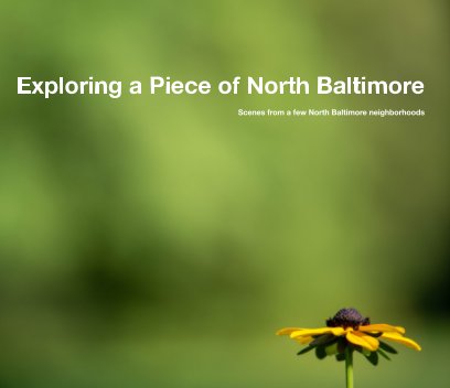 Exploring a Piece of North Baltimore book cover