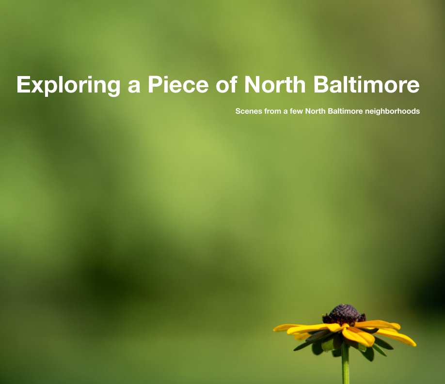 View Exploring a Piece of North Baltimore by Dan Hogan