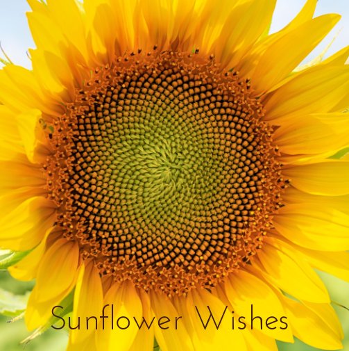 View Sunflower Wishes by Lisa Herigon