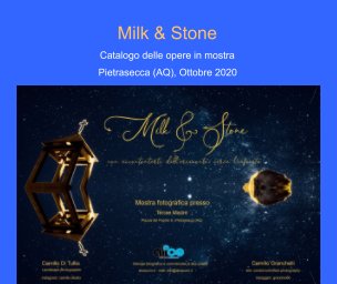 Milk and Stone book cover