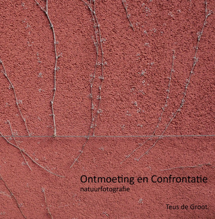 View Ontmoeting en Confrontatie by Teus de Groot