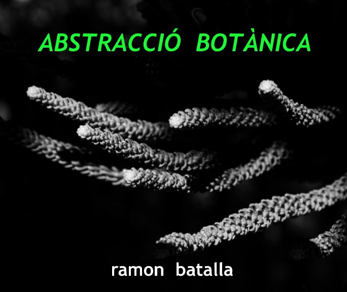View Abstracció botànica by Ramon Batalla Galimany