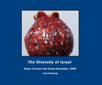 The Diversity of Israel book cover