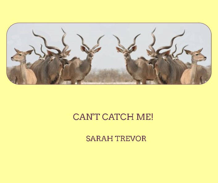 Visualizza Can't Catch Me! di Sarah Trevor