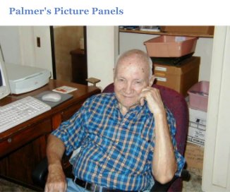 Palmer's Picture Panels book cover