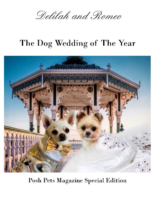 View Dellah and Romeo Wedding by Posh Pets Magazine