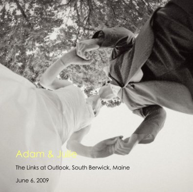 Adam & Julie book cover