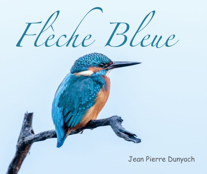 Visualizza Flèche Bleue di Jean Pierre Dunyach