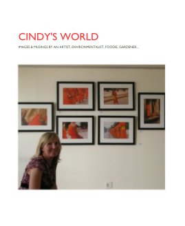 CINDY'S WORLD book cover
