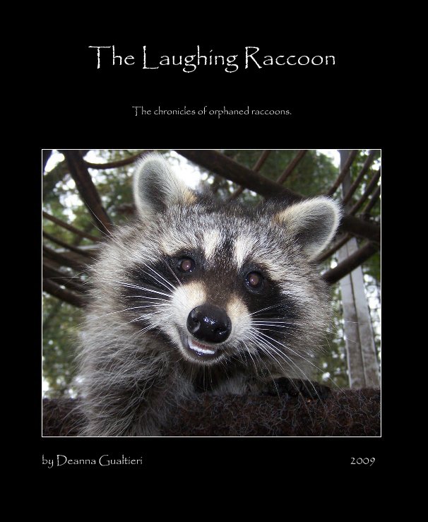 View The Laughing Raccoon by Deanna Gualtieri 2009