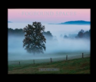 Fogbound Spaces book cover