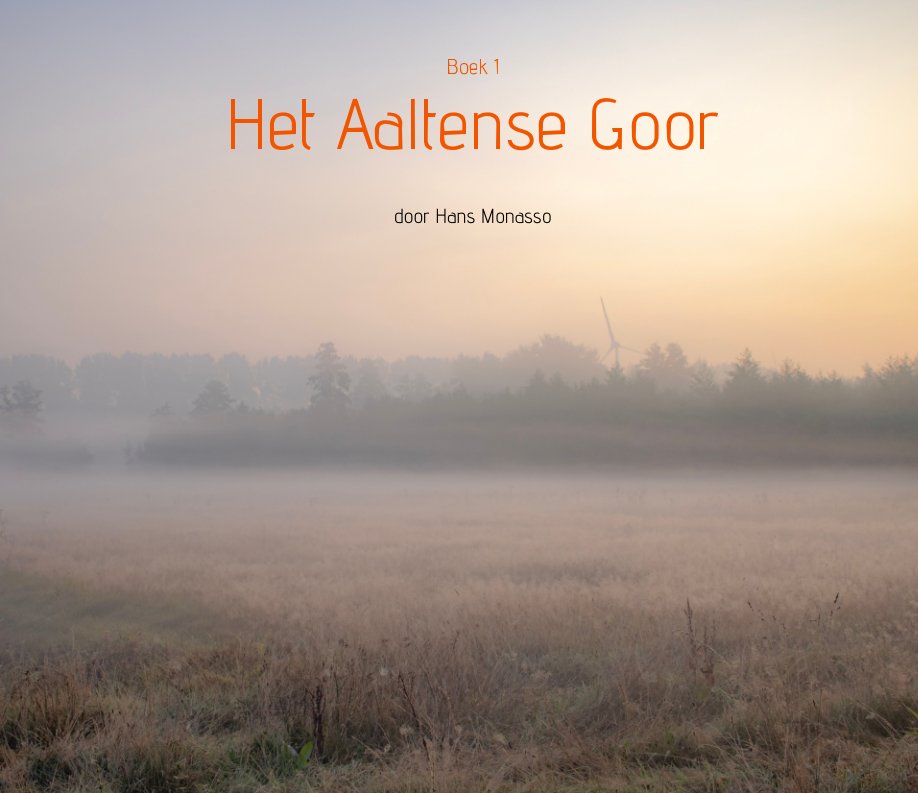View Het Aaltense Goor by Hans Monasso