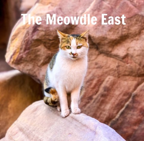 View The Meowdle East by Carrie Herbert
