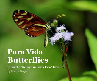 Pura Vida Butterflies book cover