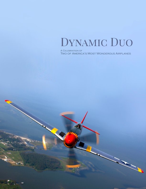 View Dynamic Duo by Edward C. Larson