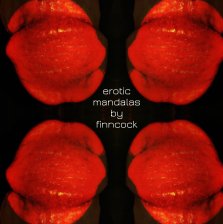 Erotic Mandalas book cover