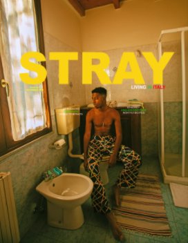Stray Europe (2019) book cover