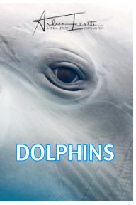 Dolphins book cover