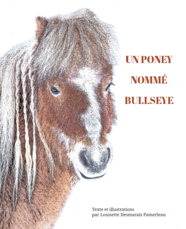 View Un poney nommé Bullseye by Louisette Desmarais Pamerleau