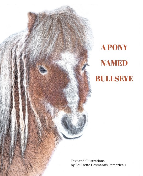 View A pony named Bullseye by Louisette Desmarais Pamerleau