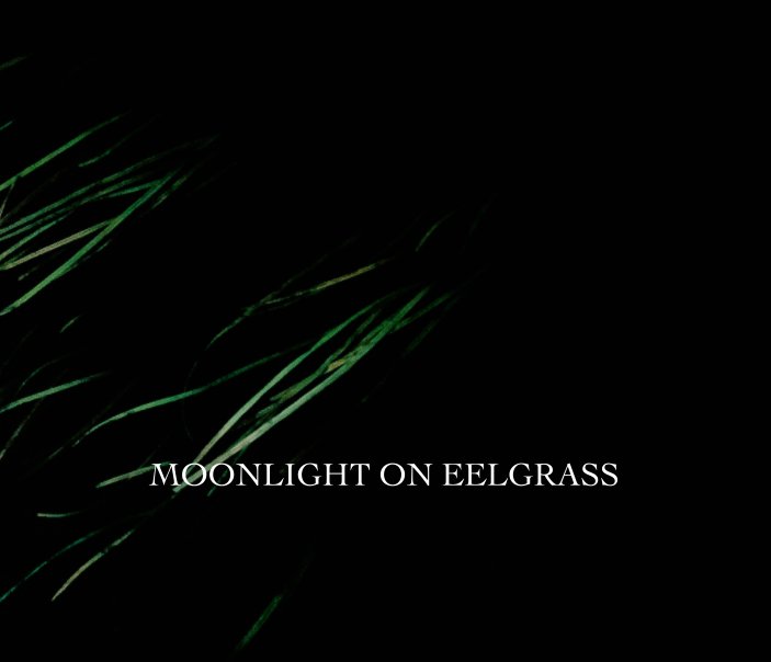View moonlight on eelgrass by Zac Miller