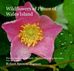 Wildflowers of Prince of Wales Island book cover