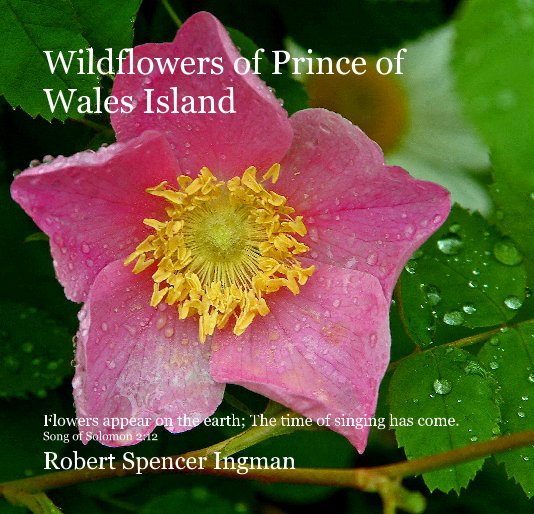 View Wildflowers of Prince of Wales Island by Robert Spencer Ingman