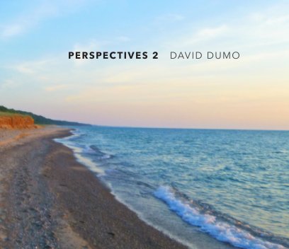 Perspectives 2 book cover