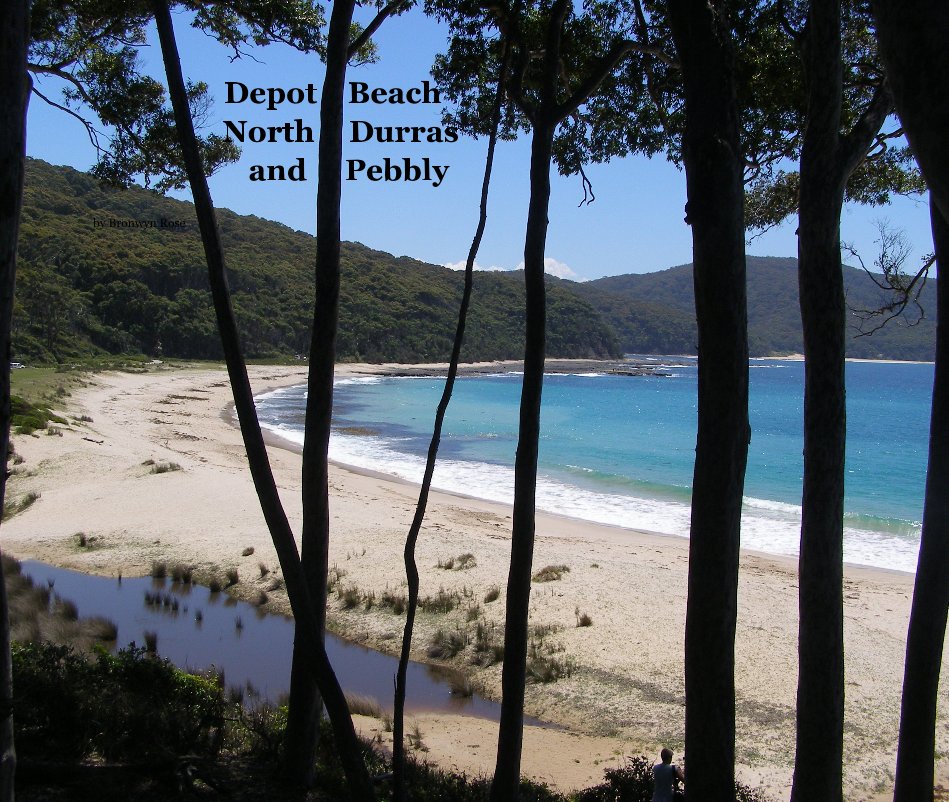 View Depot Beach North Durras and Pebbly by Bronwyn Rose