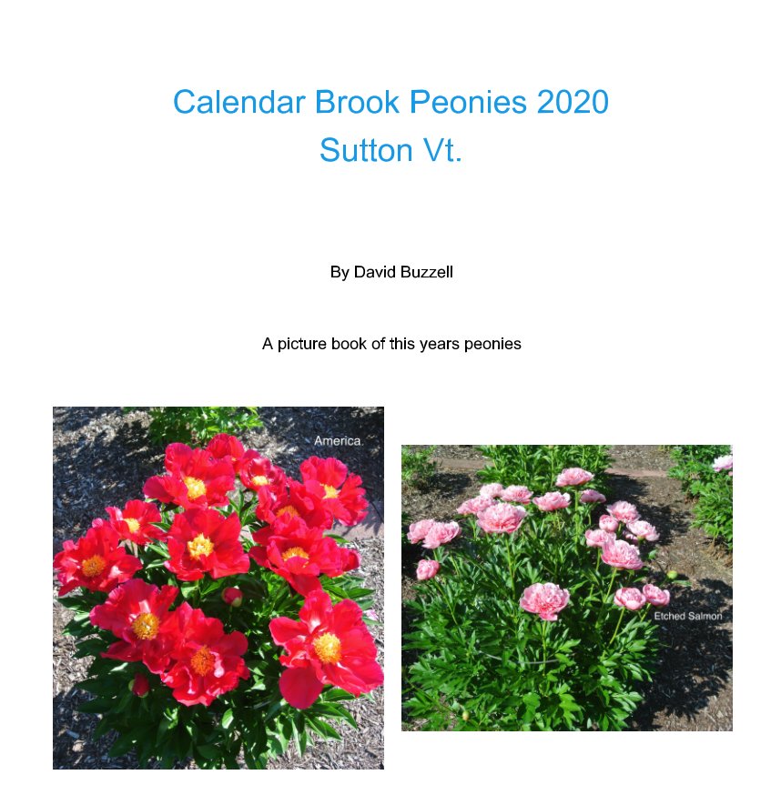 View Calendar Brook Peonies 2020 by David Buzzell