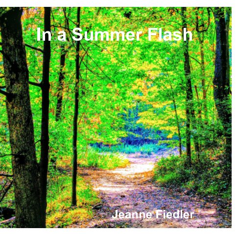 View In a Summer Flash by Jeanne Fiedler