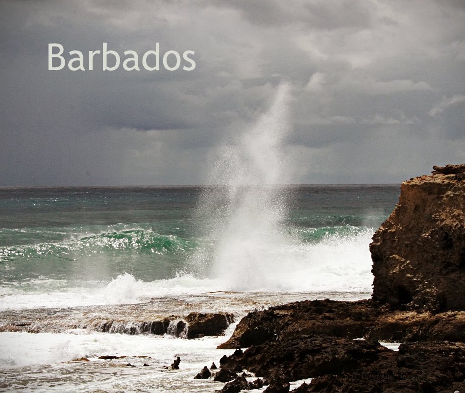 Ver Barbados por Capt Spaulding Photography