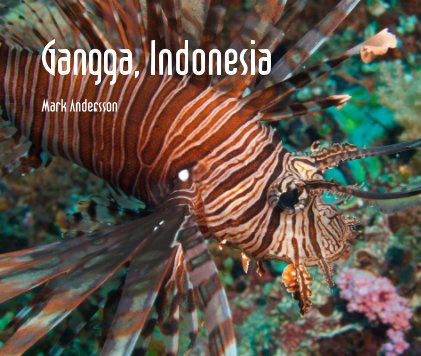 Gangga, Indonesia book cover