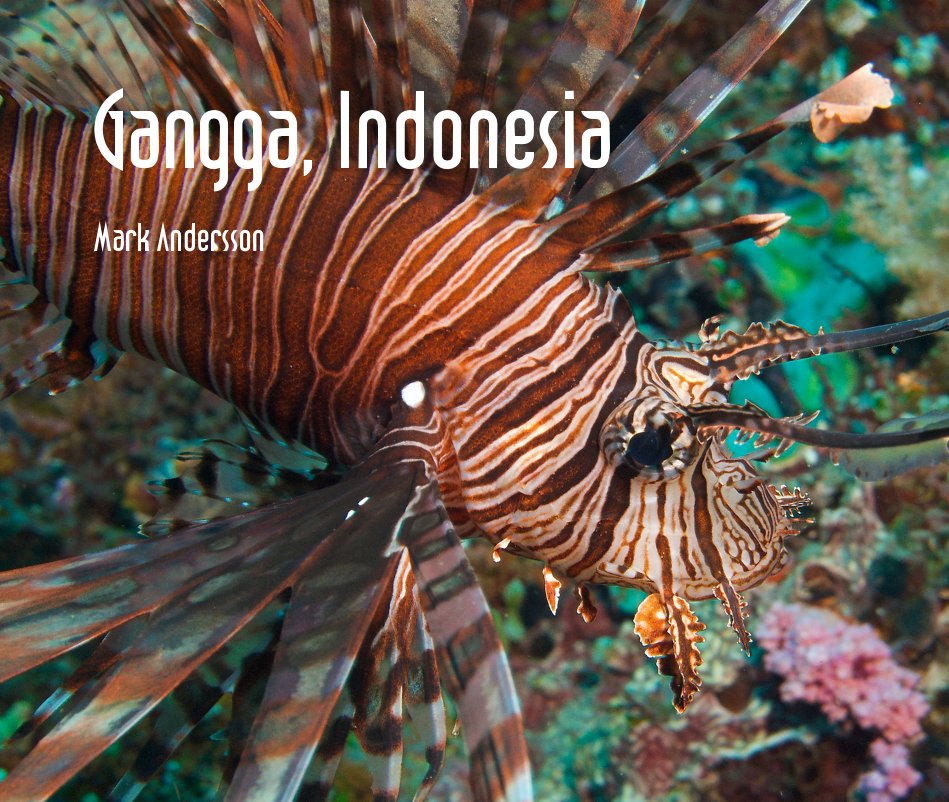 View Gangga, Indonesia by Mark Andersson