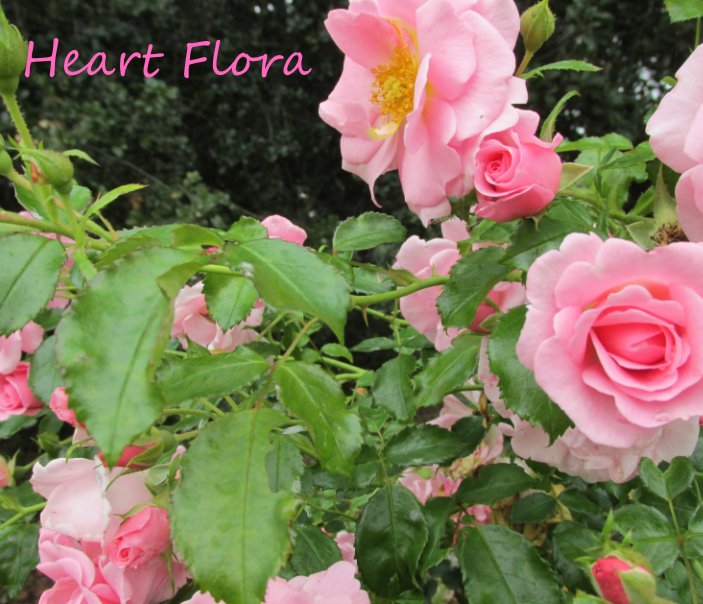 View Heart Flora by Dani Heart