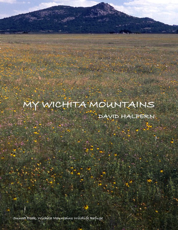 View My Wichita Mountains by David Halpern