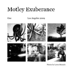 Motley Exuberance - One book cover