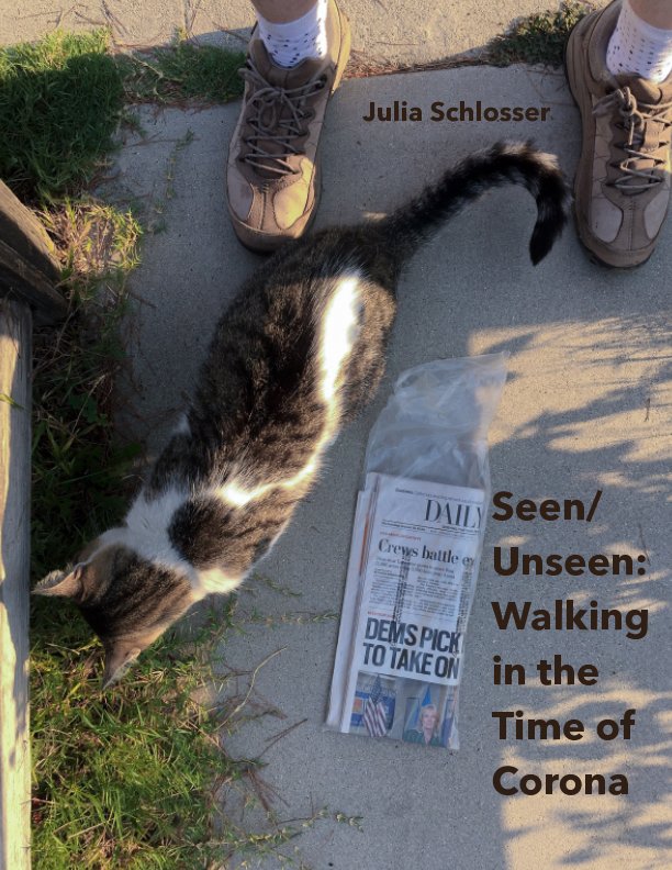 View Seen/Unseen: Walking in the Time of Corona by Julia Schlosser