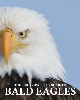 The Photographer's Guide to Bald Eagles book cover