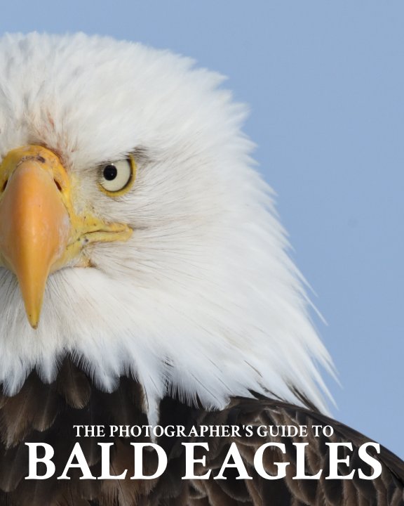 View The Photographer's Guide to Bald Eagles by AJ HARRISON