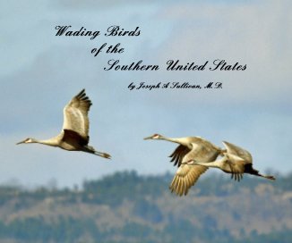 Wading Birds of the Southern United States book cover