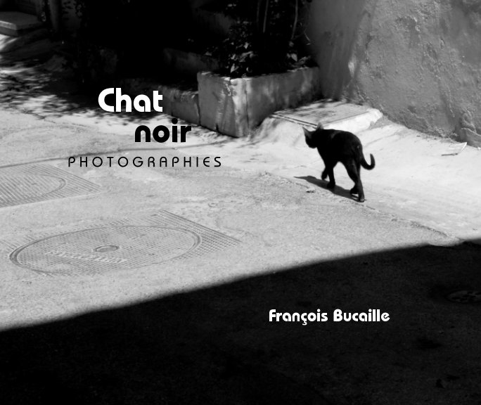 Bekijk Chat noir op François Bucaille