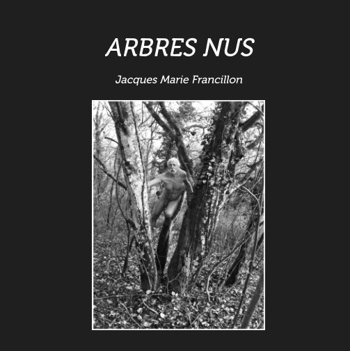 View Arbres Nus by Jacques Marie Francillon