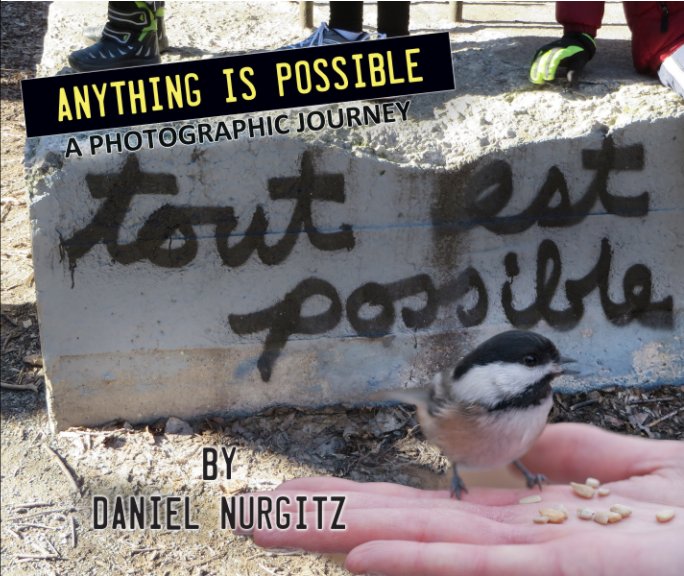 View Tout est possible - Anything is Possible by Daniel Nurgitz