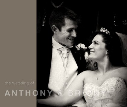 The Wedding of Anthony and Briony book cover