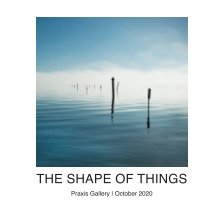 The Shape of Things book cover