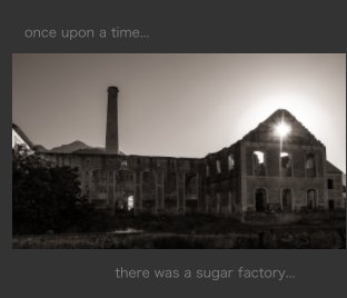 the sugar factory book cover