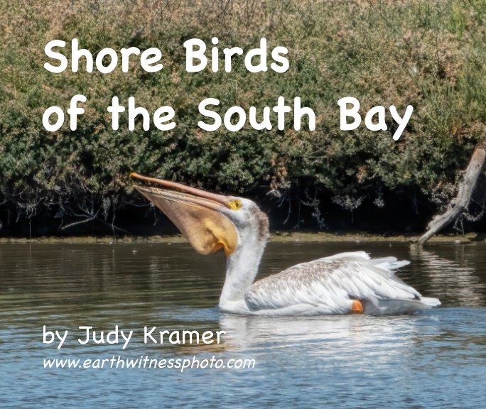 Ver Best of Birds por Judy Kramer